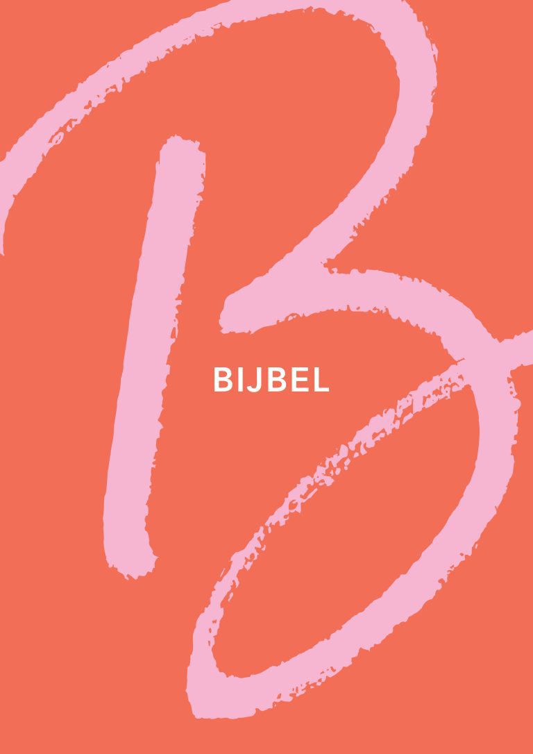 Tienerbijbel-Oranje-2D-1-768x1086